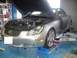 �A���C�����g�_����