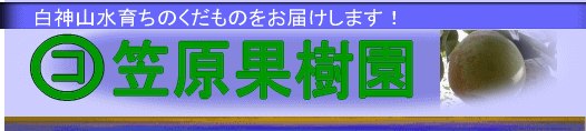 �C���[�W
