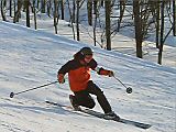 060225seisiga_s.jpg
